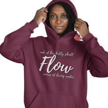 Load image into Gallery viewer, Flow! Hoodie